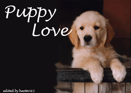 Puppy-Love.gif