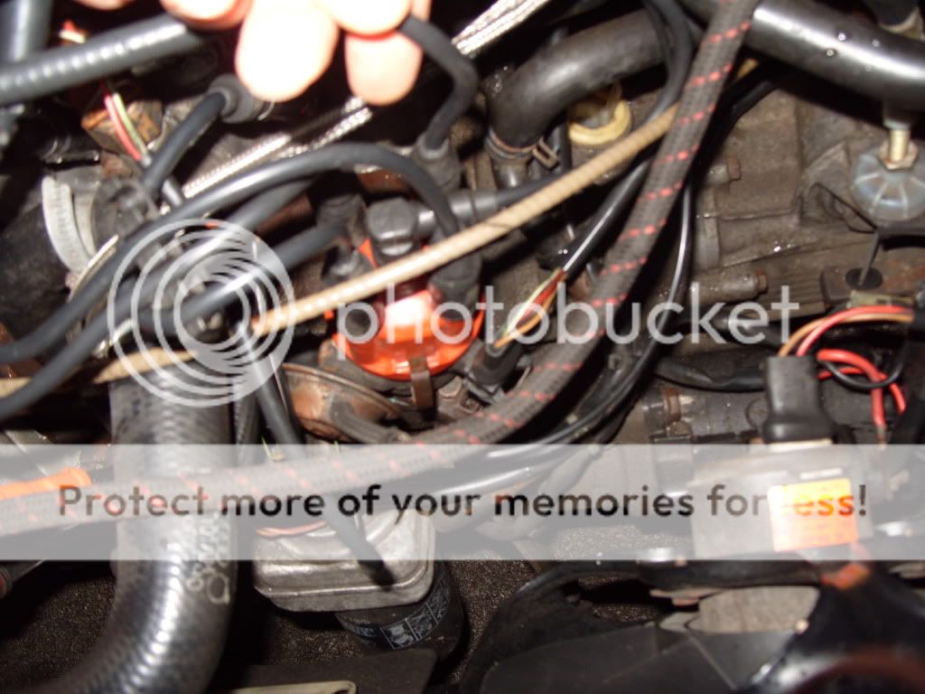 View topic Ignition firing order? The Mk1 Golf Owners Club