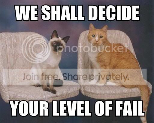 catfail.jpg